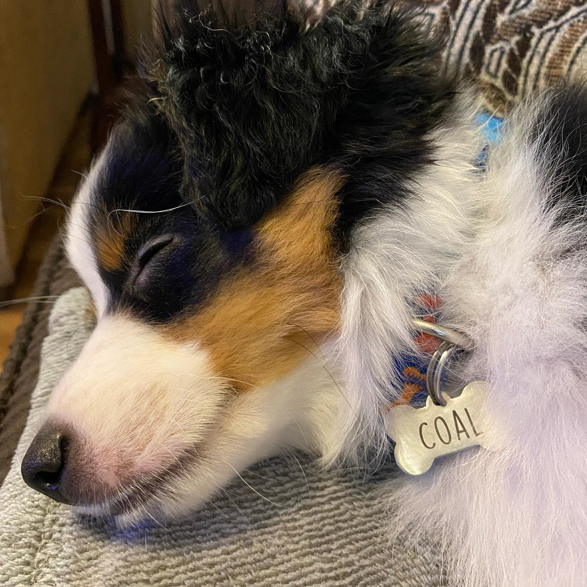 Pet Name & LOST tag