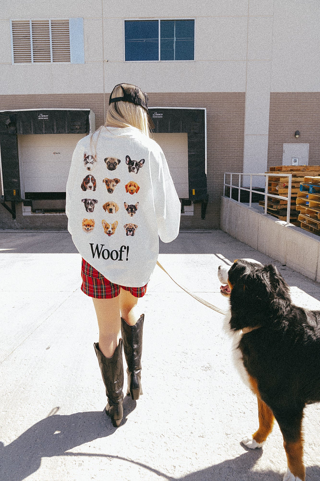 i Love Dogs T-shirt