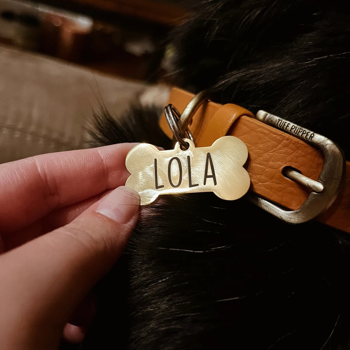 Pet Name & LOST tag